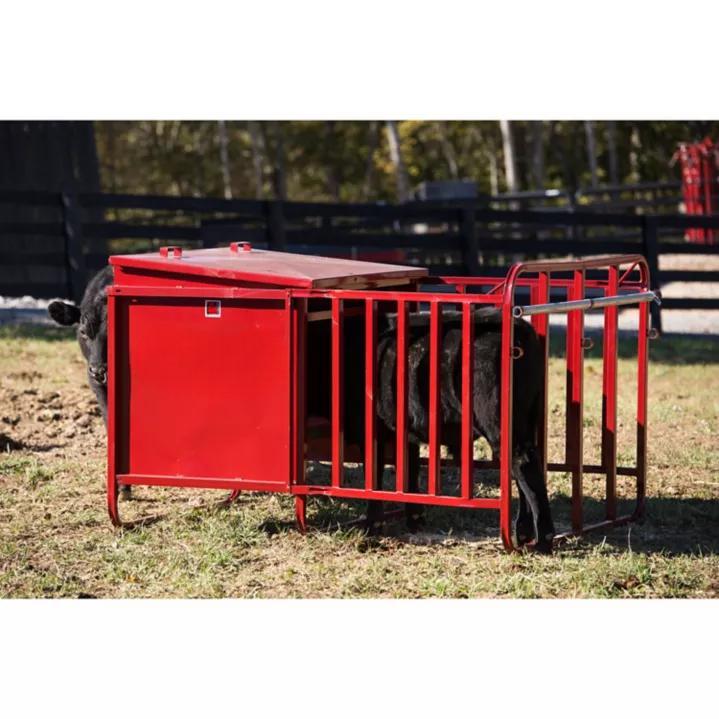 Creep Feeder for Calf 650 lbs Capacity, 4 Stall Openings
