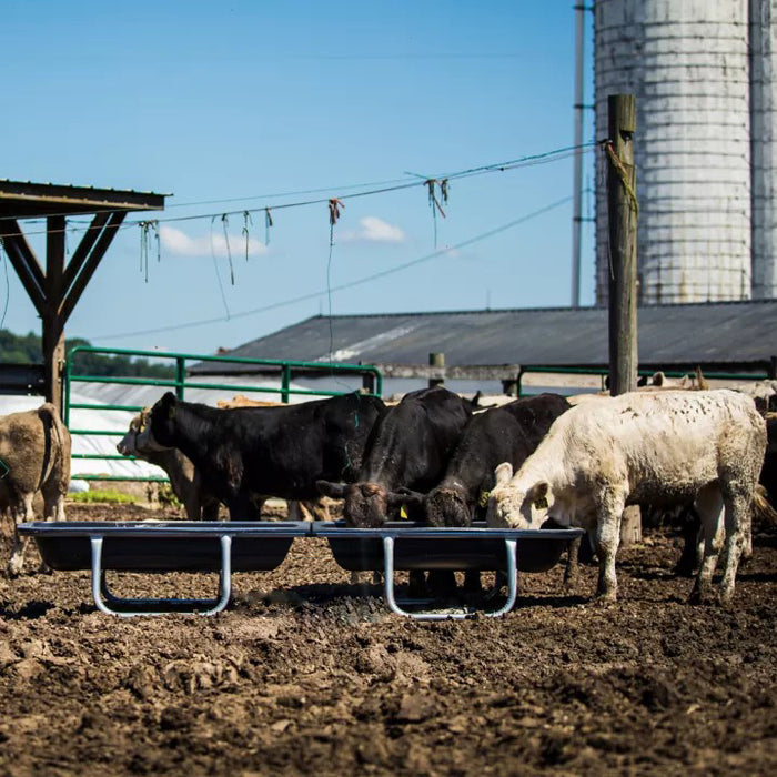 Steel Bunk Feeder for Cattle, 10ft Feeder Trough