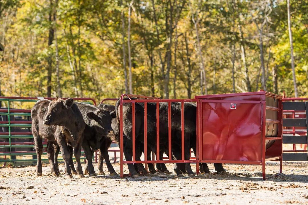 Creep Feeder for Calf 650 lbs Capacity, 4 Stall Openings