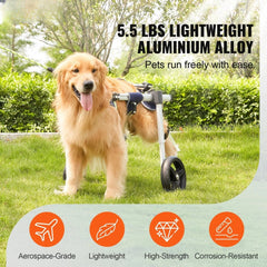 Holzoffer 2 Wheels Dog Wheelchair for Back Legs, Pet Wheelchair Lightweight & Adjustable Assisting in Healing