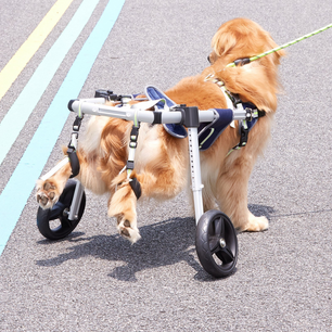 Holzoffer 2 Wheels Dog Wheelchair for Back Legs, Pet Wheelchair Lightweight & Adjustable Assisting in Healing