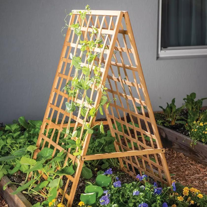 Bamboo A Frame Plant Support, 30" x 42.5"