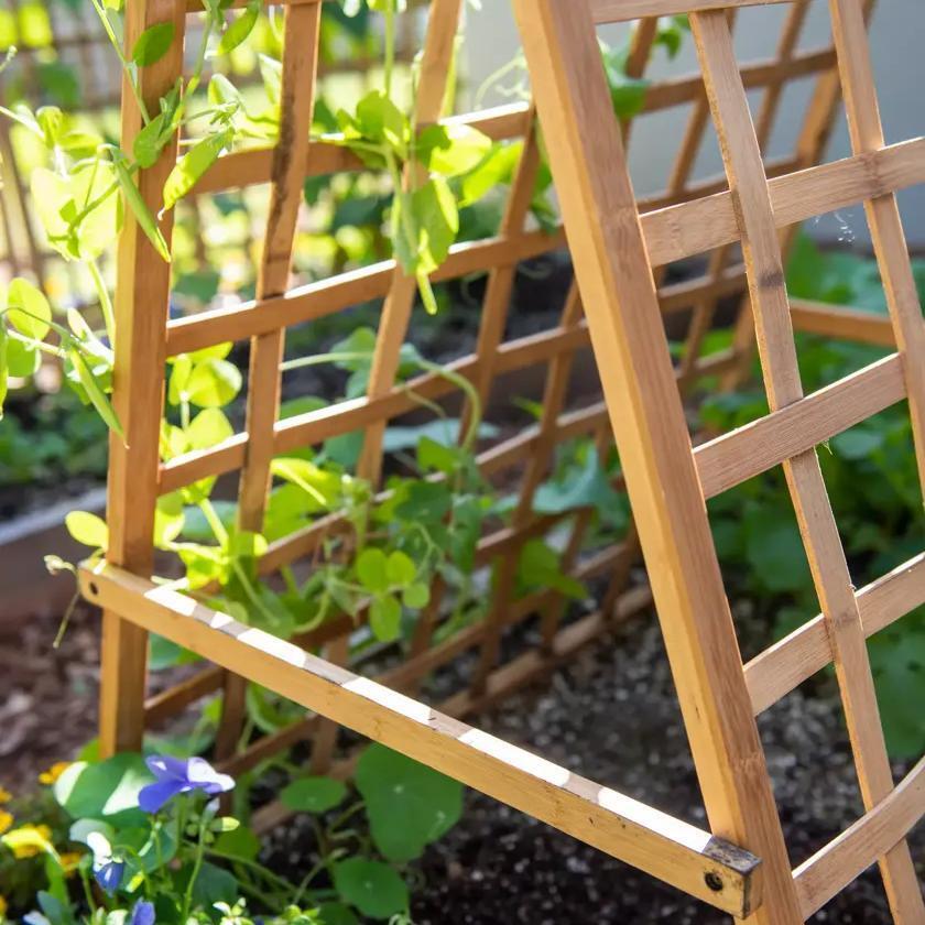 Bamboo A Frame Plant Support, 30" x 42.5"