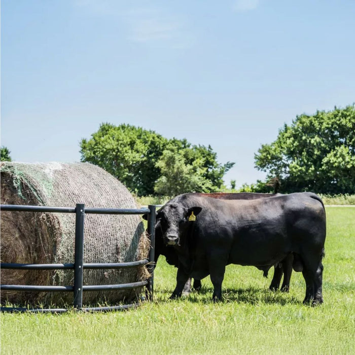 Round Hay Bale Feeder 8ft Dia, 32"-46" Height Adjustable Black Hay Ring