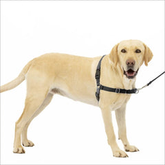 Holzoffer PetSafe Easy Walk Dog Harness