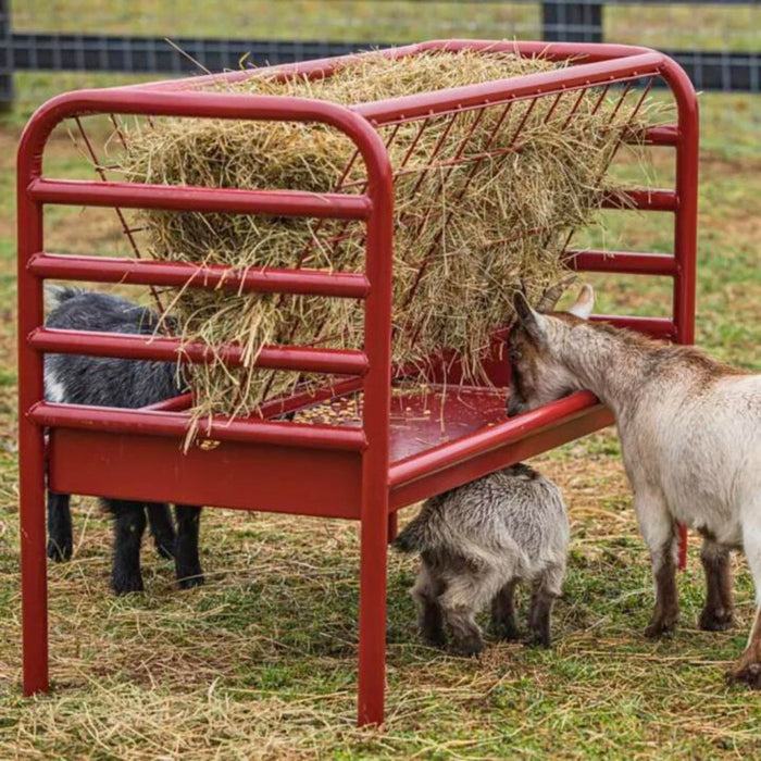 Steel Goat Hay and Grain Feeder, 4 Flakes 2 Gallon Grain Capacity