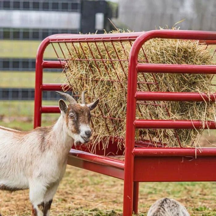 Steel Goat Hay and Grain Feeder, 4 Flakes 2 Gallon Grain Capacity