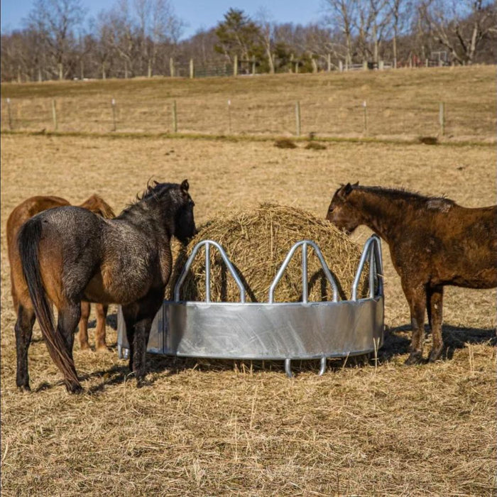 Round Hay Bale Feeder 8ft Dia w/ Hay Saver for Horses, 50"H Silver Hay Ring