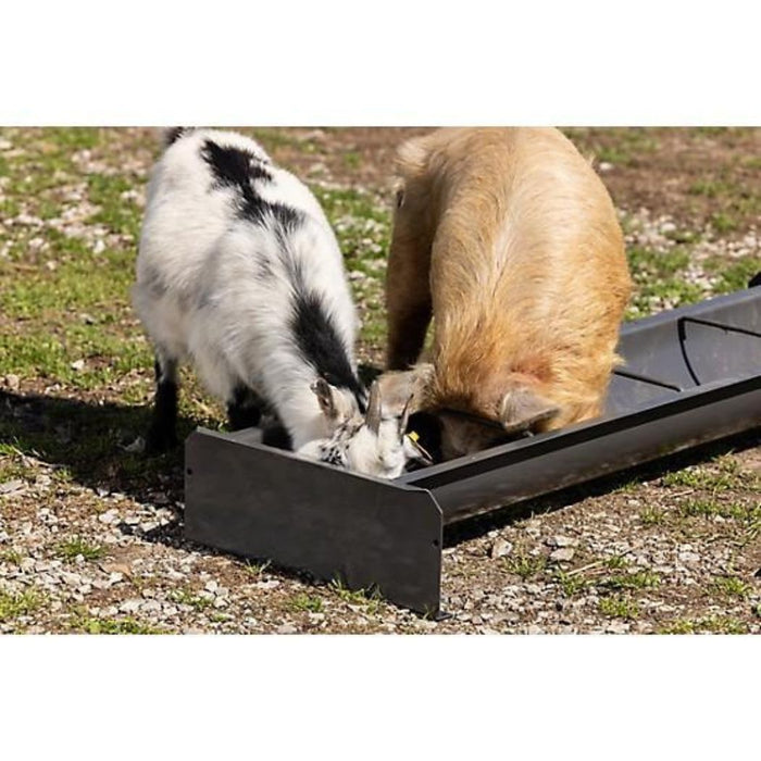 4 ft. Steel Feed Trough, Feeder Bunk w/ 3 Dividers