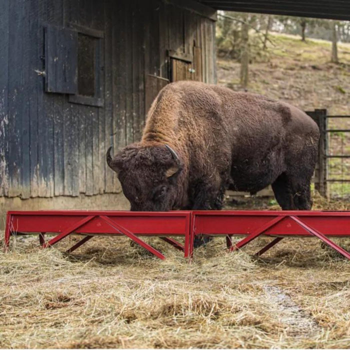 Steel Bunk Feeder for Cattle, 5ft Feeder Trough