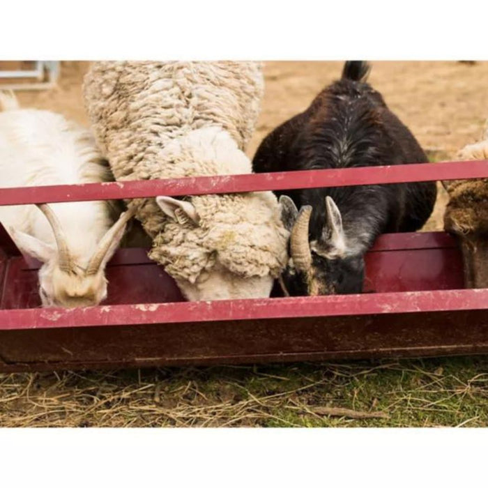 Steel Goat Trough Feeder, 4ft Grain Feeder