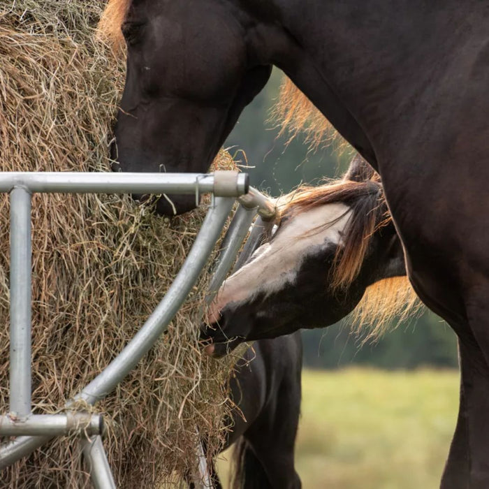 Round Hay Bale Feeder 85" x 79", Silver Round Bale Feeder