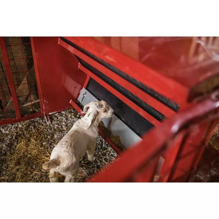 Creep Feeder for Goat 650 lbs Capacity, Mesh Gate