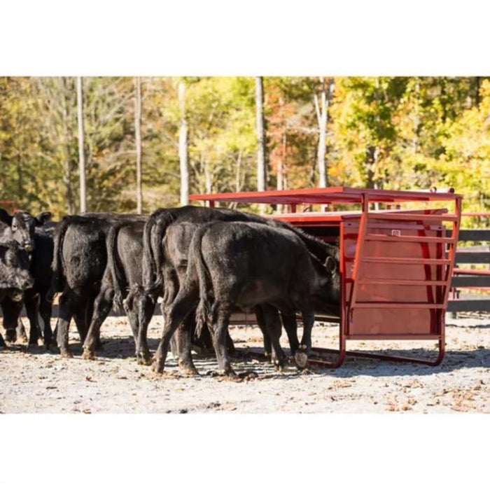 Creep Feeder for Calf 1000 lbs Capacity, 5 Stall Openings