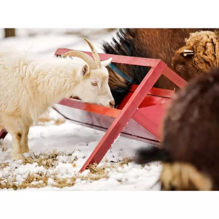 Steel Goat Trough Feeder, 4ft Grain Feeder