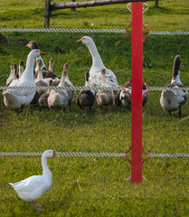 Holzoffer Farm Protection Fence，Post Highly Durable Steel Construction, Strong and Durable for Outdoor, Private Farms, Yards